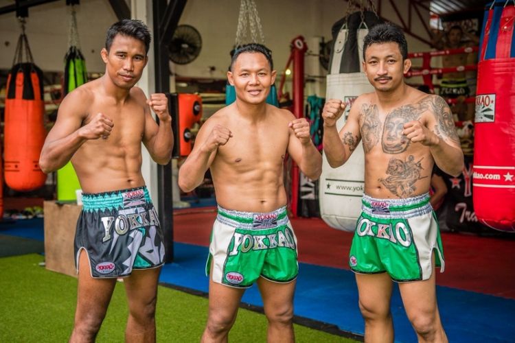 en/ueditor/20171226/155055_yokkao-fight-team.jpg yokkao-fight-team.jpg