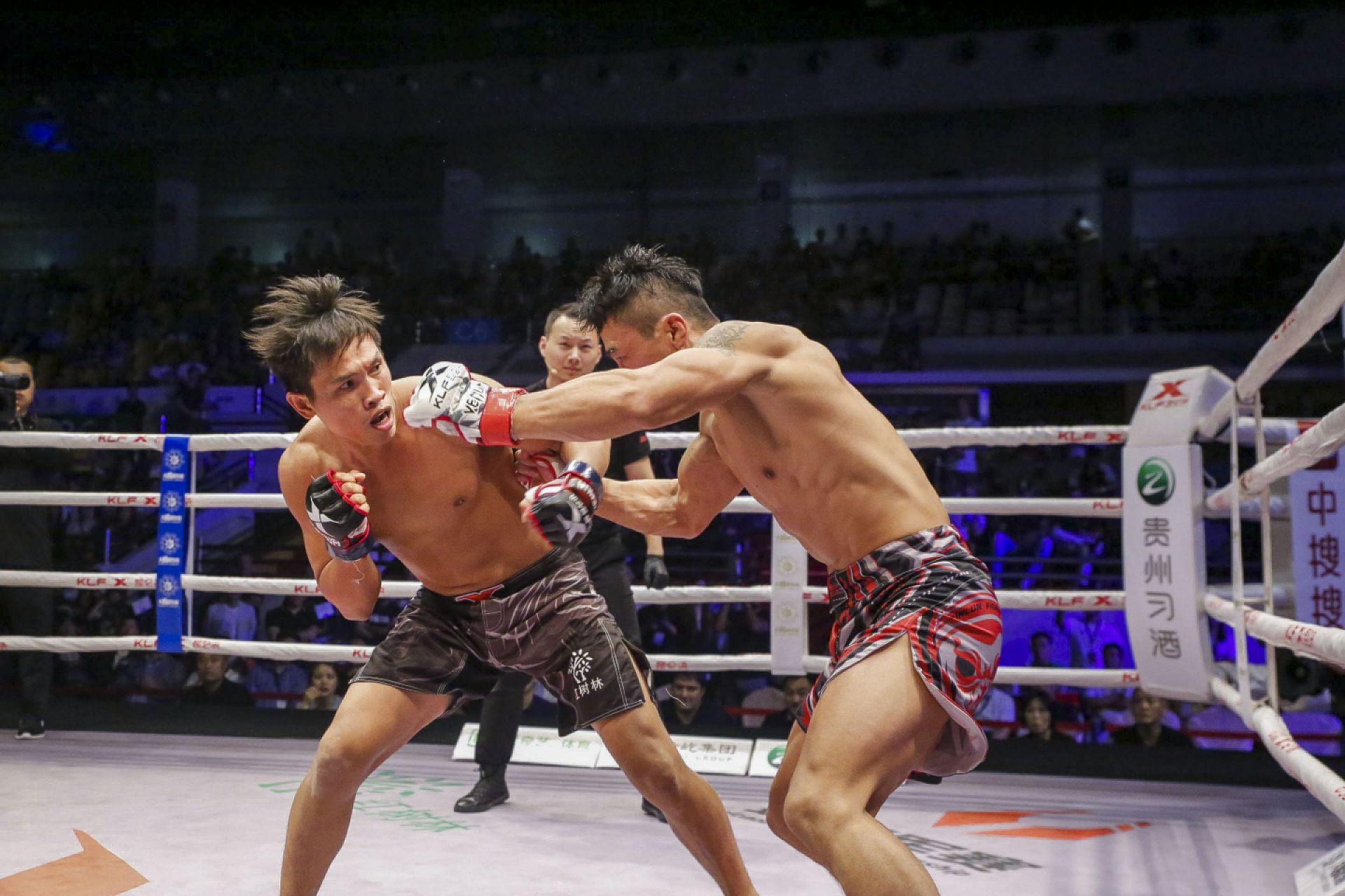 "中原飓风"刮到澳门,闫西波爆锤对手裸绞致胜