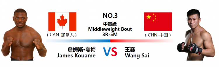 王赛 vs 詹姆斯·夸梅.png